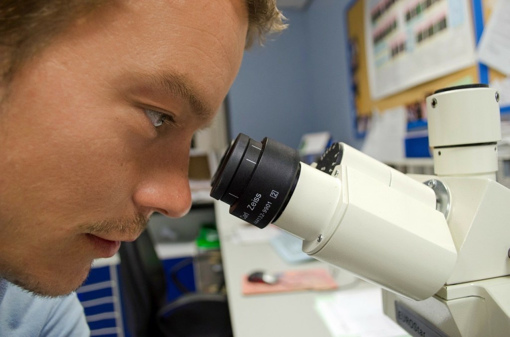 Qu&rsquo;est-ce que faire de la recherche en littérature&nbsp;?