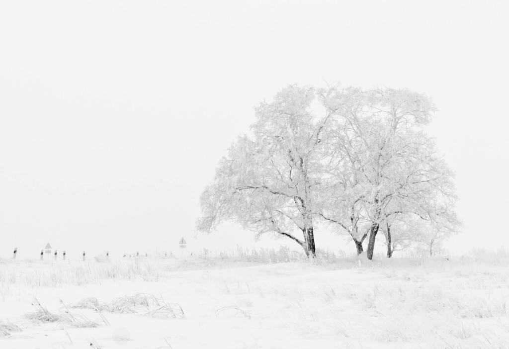 Un poème contemporain : les Gestes de la neige de Béatrice&nbsp;Bonhomme