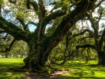 Connaissez-vous l&rsquo;indo-européen ?