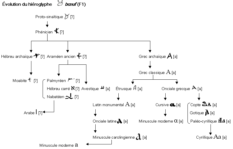 Du hiéroglyphe à notre A (CC BY-SA 3.0, Lien)