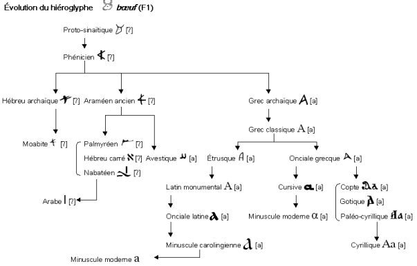 Du hiéroglyphe à notre A (CC BY-SA 3.0, Lien)