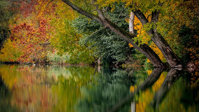 L&rsquo;orthographe des couleurs