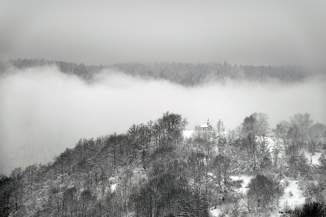 La neige d&rsquo;André du&nbsp;Bouchet
