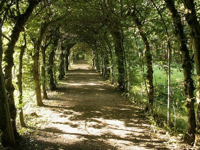 Paul Verlaine : &laquo;&nbsp;Il faut, voyez-vous, nous pardonner…&nbsp;&raquo;