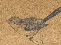 Rencontre avec la poésie de Béatrice&nbsp;Bonhomme