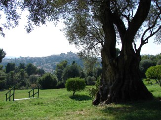 2010_vue_cagnes-sur-mer_musee_renoir