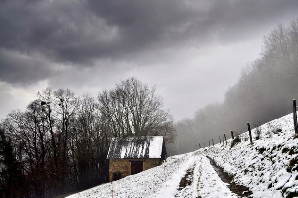 Le jardin enneigé d&rsquo;Yves&nbsp;Bonnefoy