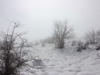 Bonne année 2020&nbsp;!