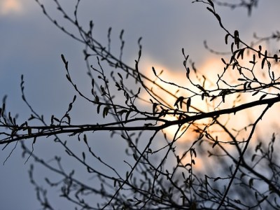 &laquo;&nbsp;Dialogue avec l&rsquo;anonyme&nbsp;&raquo; de Béatrice&nbsp;Bonhomme