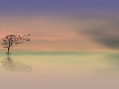 Béatrice Bonhomme chroniquée sur&nbsp;Mediapart