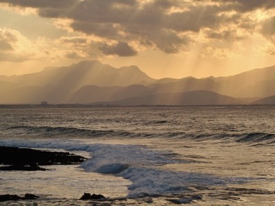 &laquo;&nbsp;Les Boxeurs de l&rsquo;absurde&nbsp;&raquo;: entretien avec Béatrice&nbsp;Bonhomme
