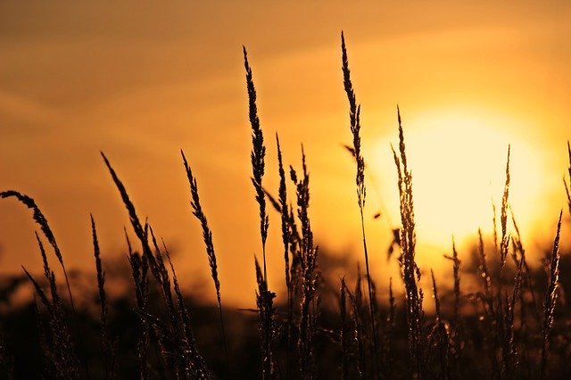 Le soleil baudelairien