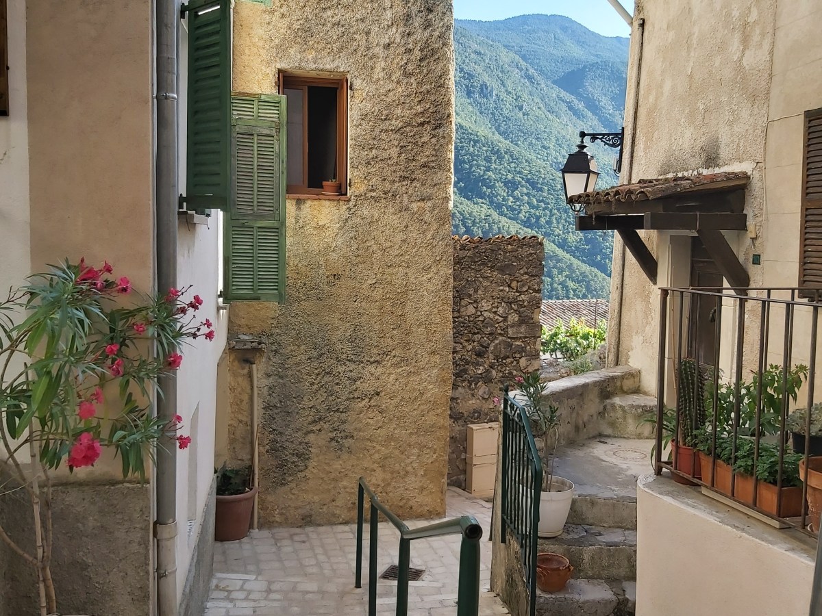 De la poésie sous un&nbsp;tilleul