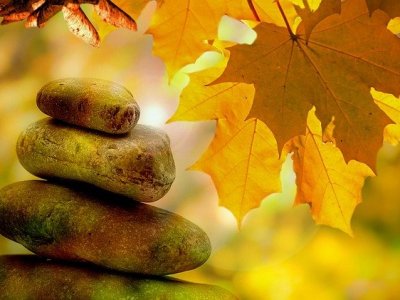 Des poèmes qui font du&nbsp;bien