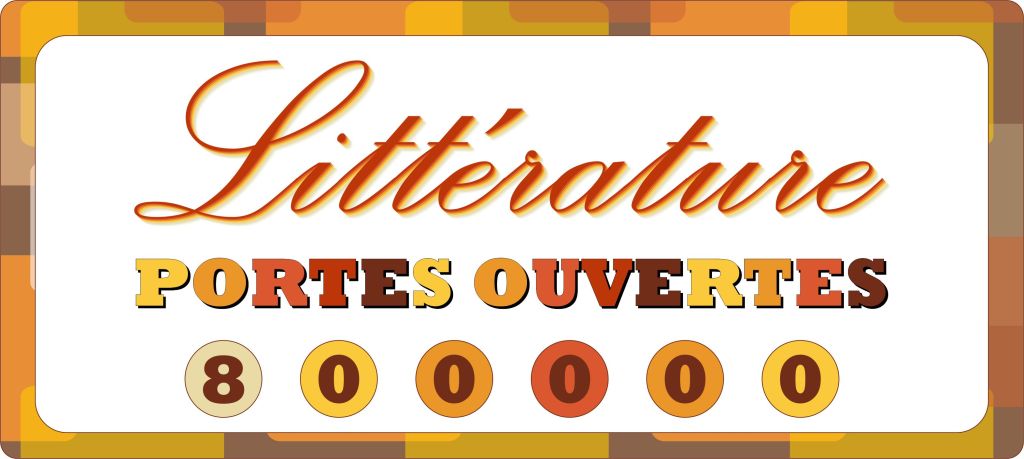 800 000 visiteurs&nbsp;uniques