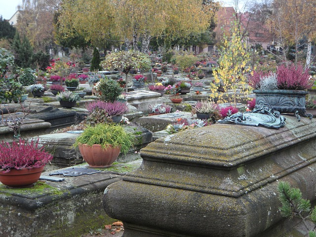 &laquo;&nbsp;Toussaint&nbsp;&raquo; de Jean-Michel&nbsp;Maulpoix