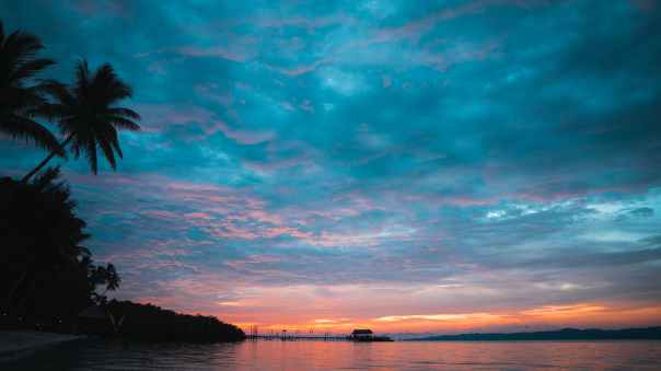Le &laquo;&nbsp;Florilège&nbsp;&raquo; du mois de&nbsp;juin
