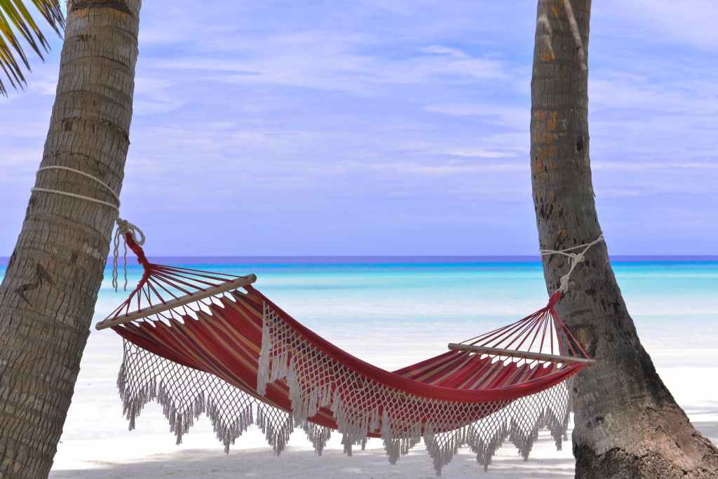 Best-of : retrouvez mes articles sur&nbsp;l&rsquo;été
