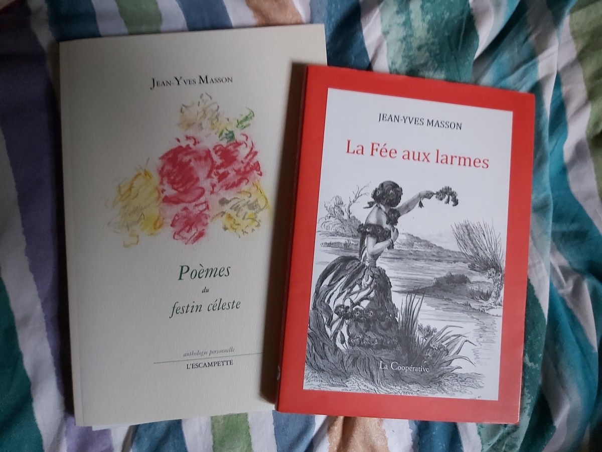 Questions à Jean-Yves&nbsp;Masson