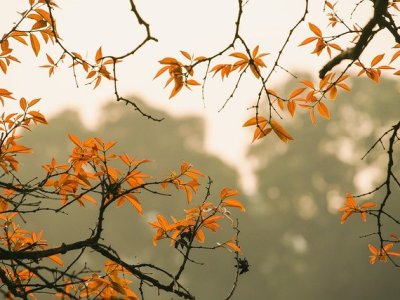 Connaissez-vous Marie Étienne&nbsp;?