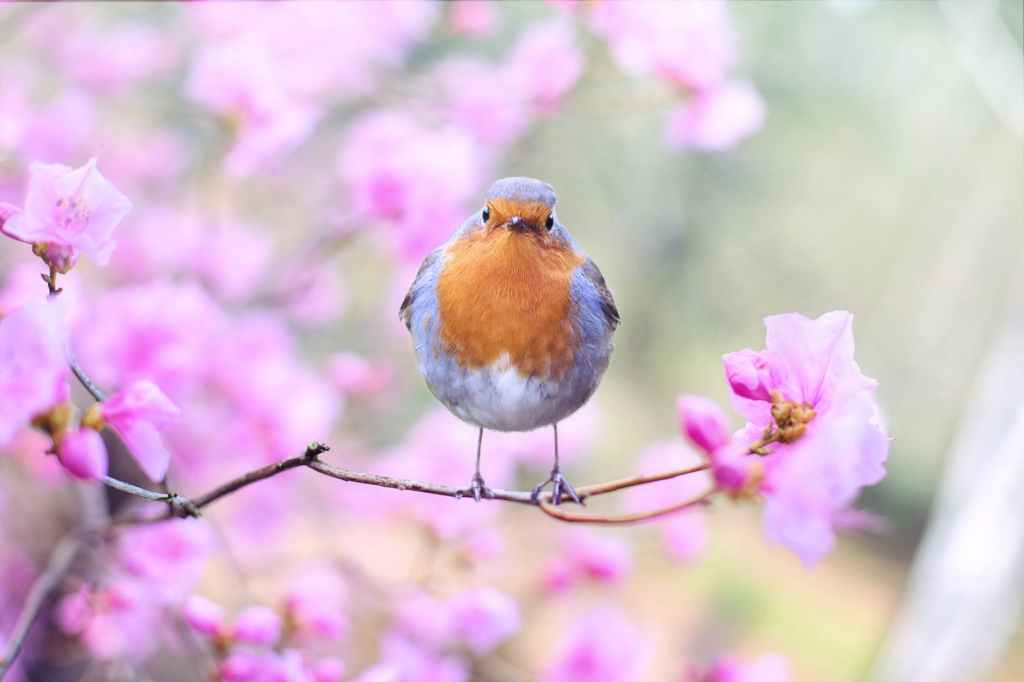 Le lexique du&nbsp;printemps