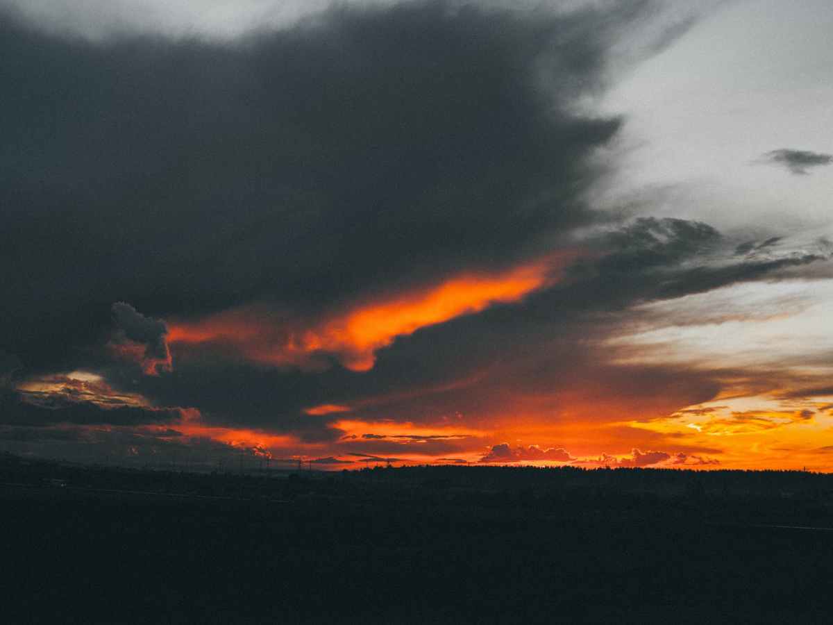 Que mon poème ne soit que&nbsp;cela