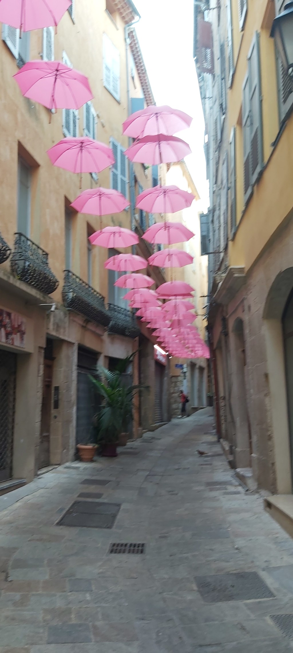 Grasse s&rsquo;est enslamée ce soir&nbsp;!