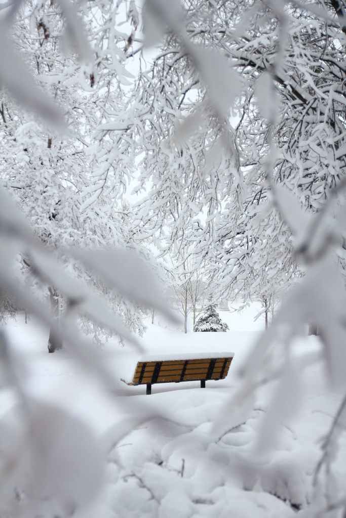 Haïkus de neige – Matsuo&nbsp;Bashô