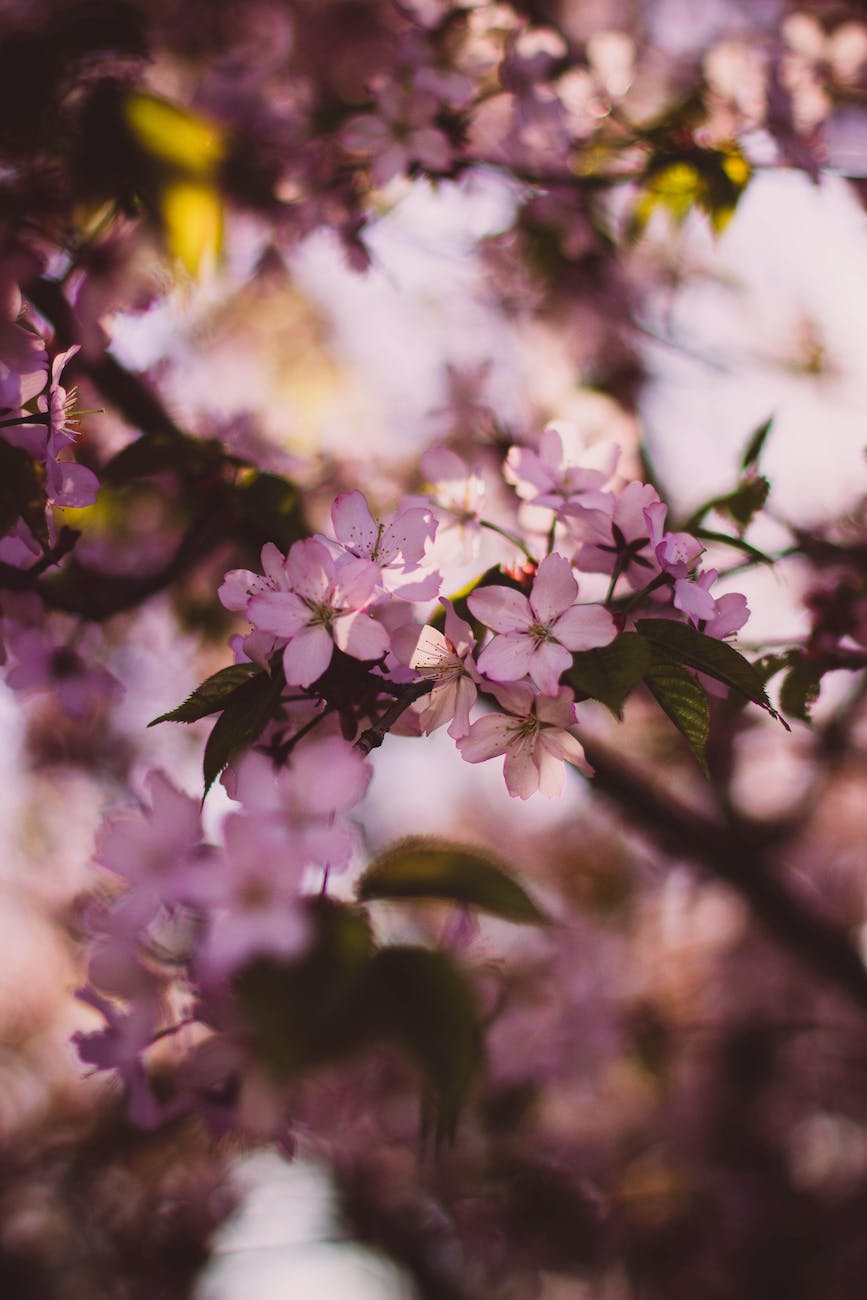 Quel pourrait être le thème du prochain Printemps des Poètes&nbsp;?