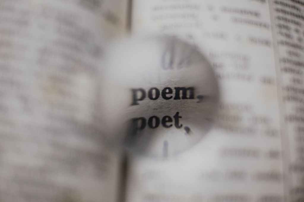 100 poètes contemporains&nbsp;recensés