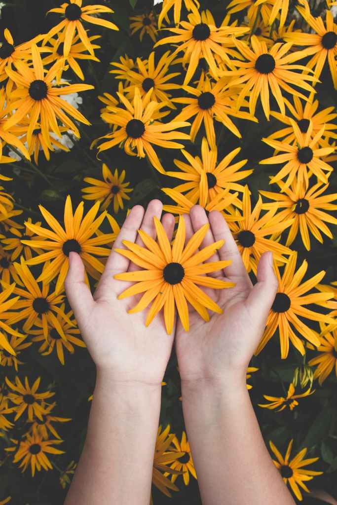 Le thème du Printemps des Poètes 2024 est&nbsp;connu