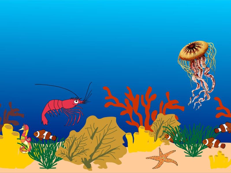 Petite Crevette reprend du&nbsp;service