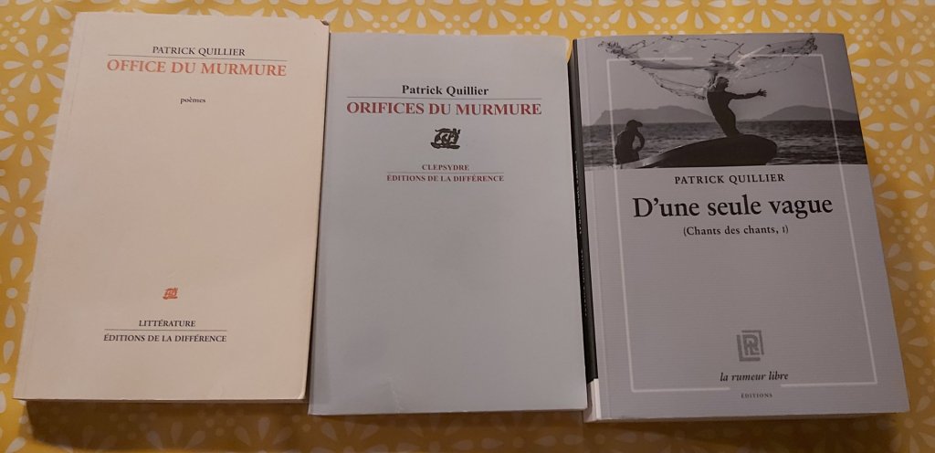 Parcours dans l&rsquo;oeuvre de Patrick&nbsp;Quillier