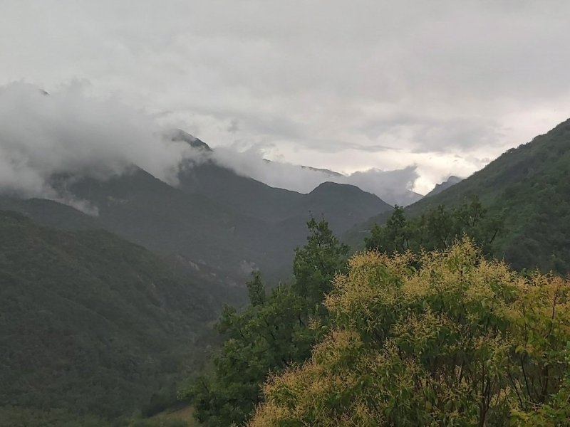 Connaissez-vous Hoda Hili?