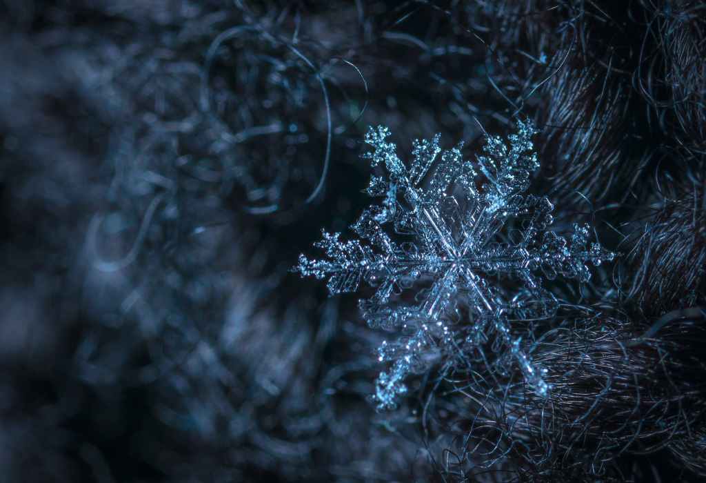 &laquo;&nbsp;Le givre&nbsp;&raquo; de Maurice&nbsp;Carême