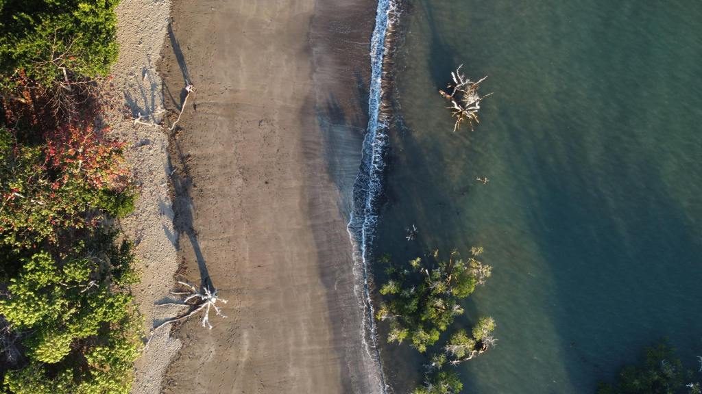 Mayotte, île de&nbsp;poètes