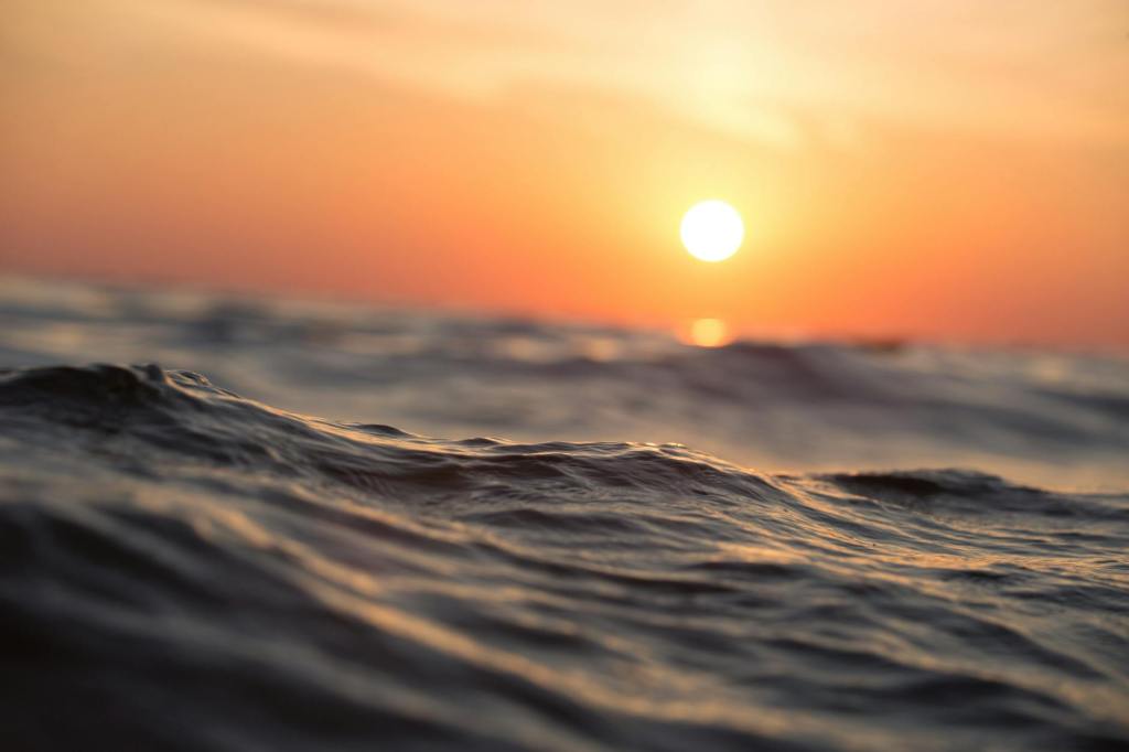 Une lecture chorale pour célébrer la&nbsp;mer