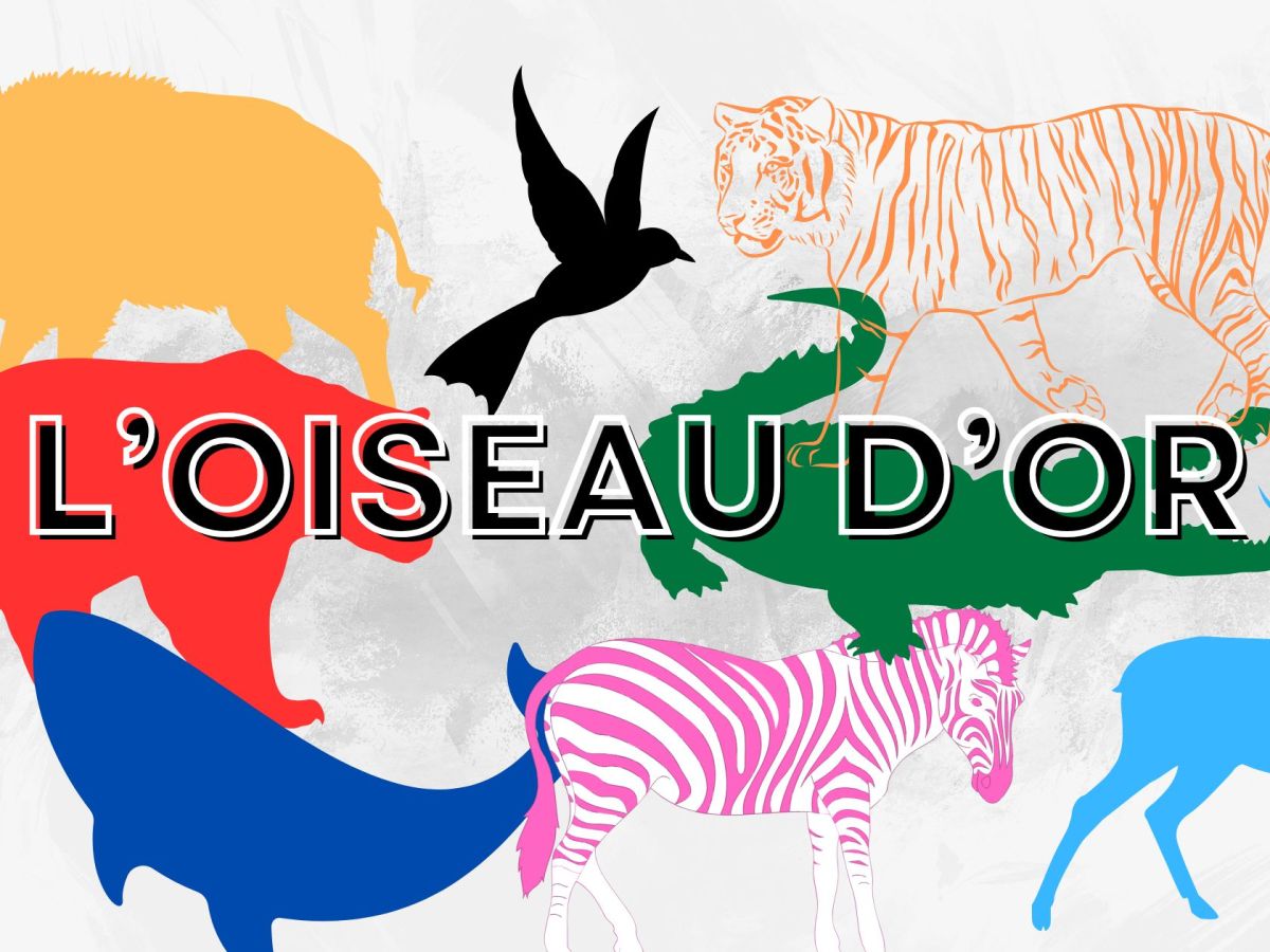 Ecole : exploitation de l&rsquo;album &laquo;&nbsp;L&rsquo;oiseau d&rsquo;or&nbsp;&raquo;
