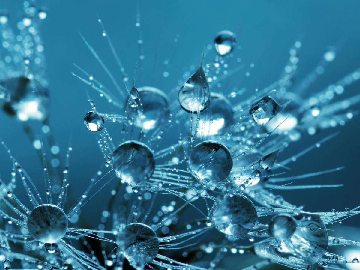 Enseigner les sciences