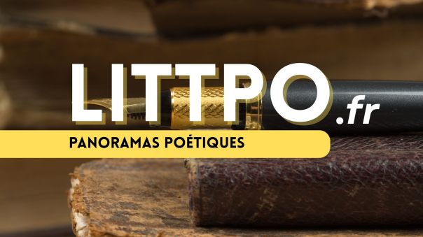 Je réponds à 10 questions sur la poésie&nbsp;contemporaine