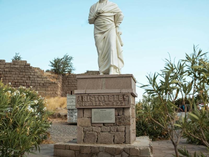 Aristote, le catégorisateur