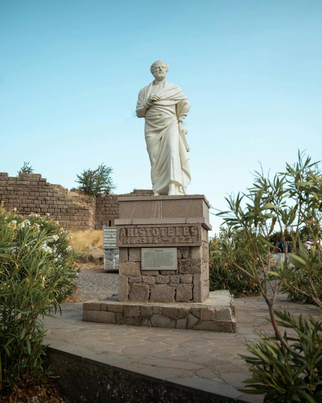 Aristote, le catégorisateur