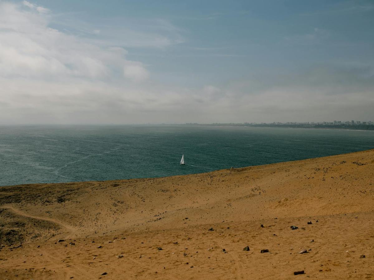 &laquo;&nbsp;Embarquement poétique&nbsp;&raquo; fête le Printemps des&nbsp;Poètes