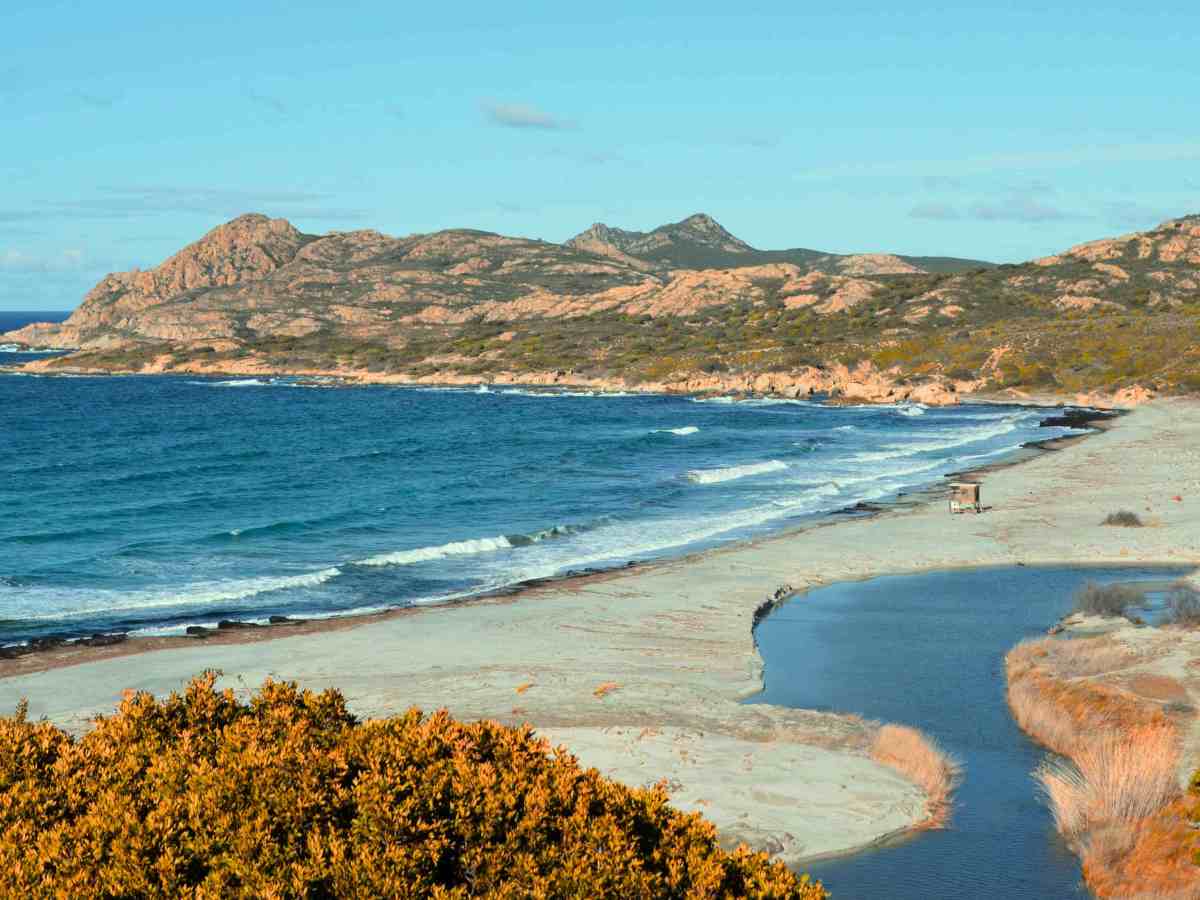 Le Rivage des&nbsp;Syrtes