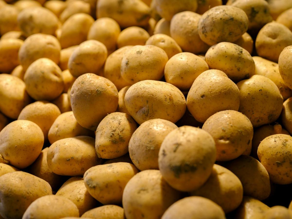Pantoum Patate